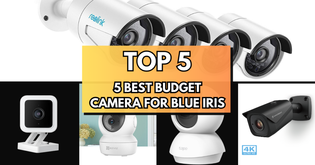 Best Budget Camera for Blue Iris